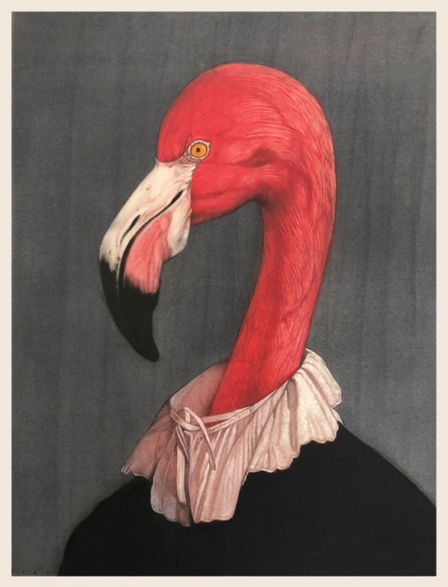Flamingo flamenco - José Fors
