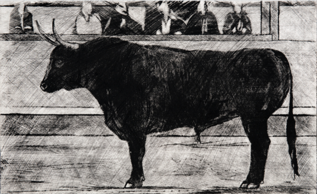 Toro negro - Humberto Baca Gráfica