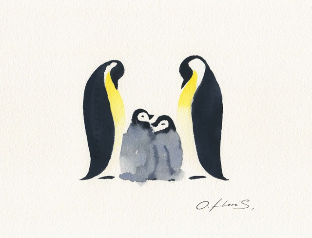 Familia de pingüinos - Oliver Flores