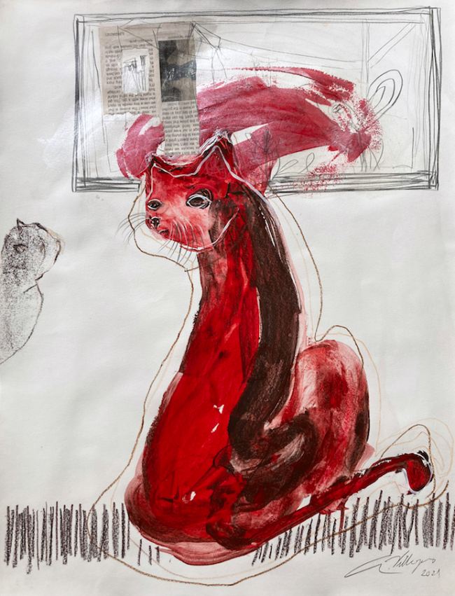 Red cat - Alejandra Villegas
