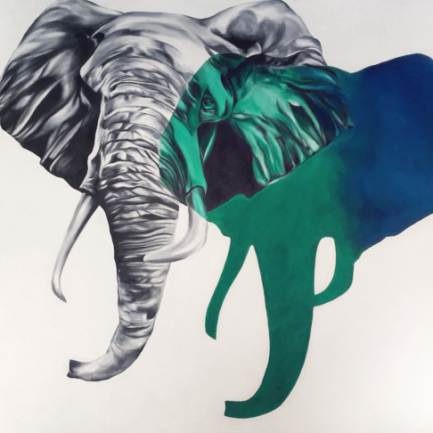 Carlina Cisneros- El elefante