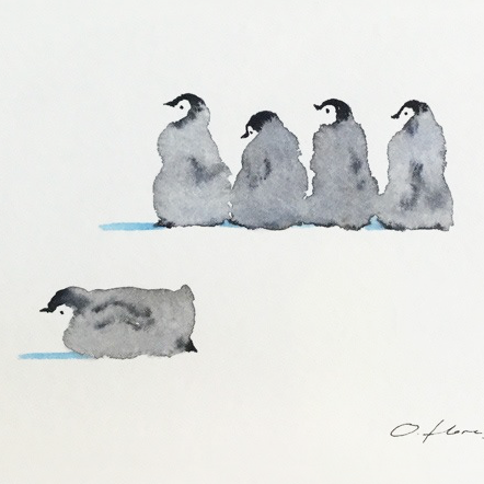 5 pingüinos